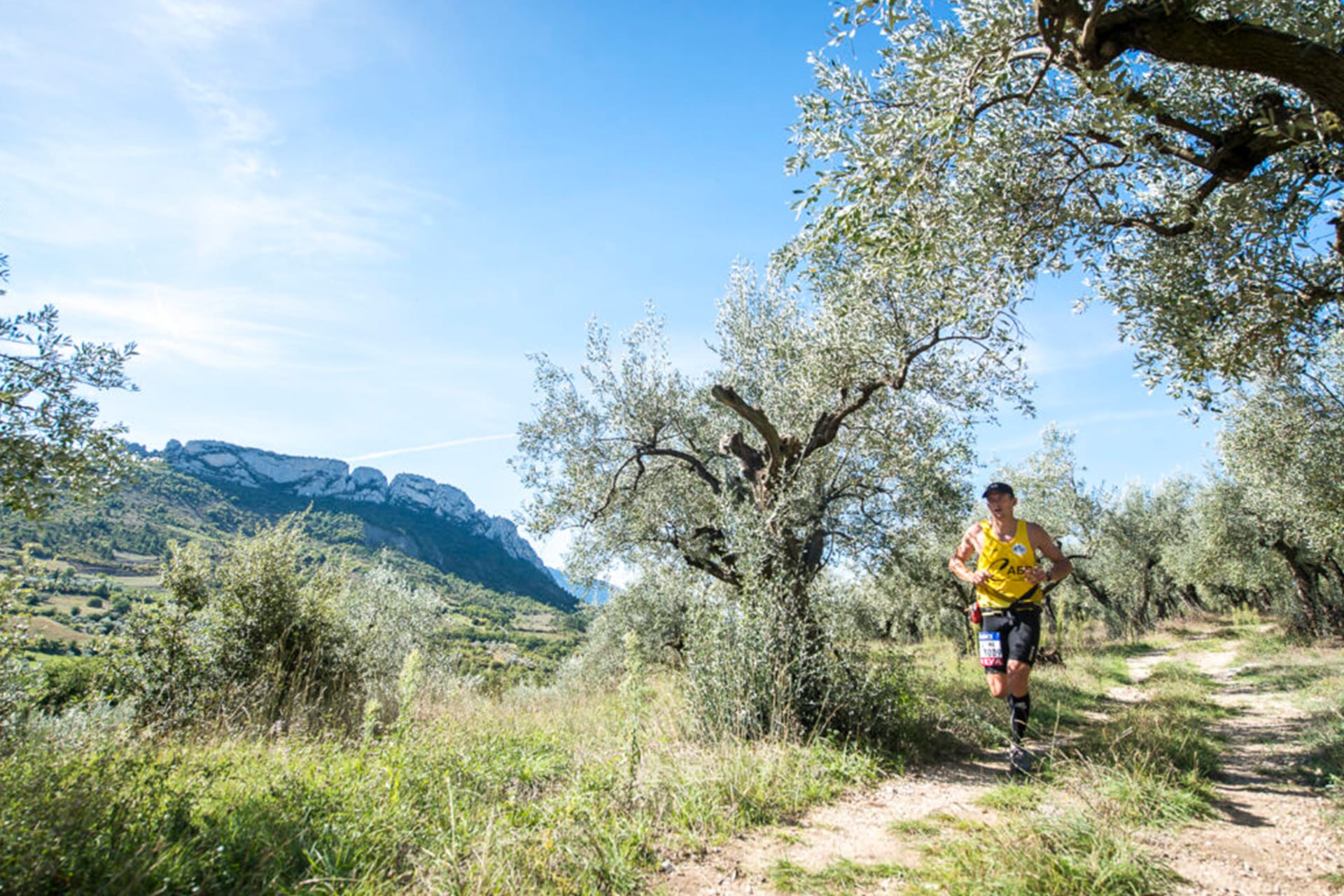 Top 3 des circuits de trails dans les Baronnies Provençales à proximité de nos maisons de location.
